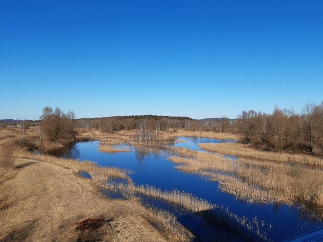 Moor-Wanderund