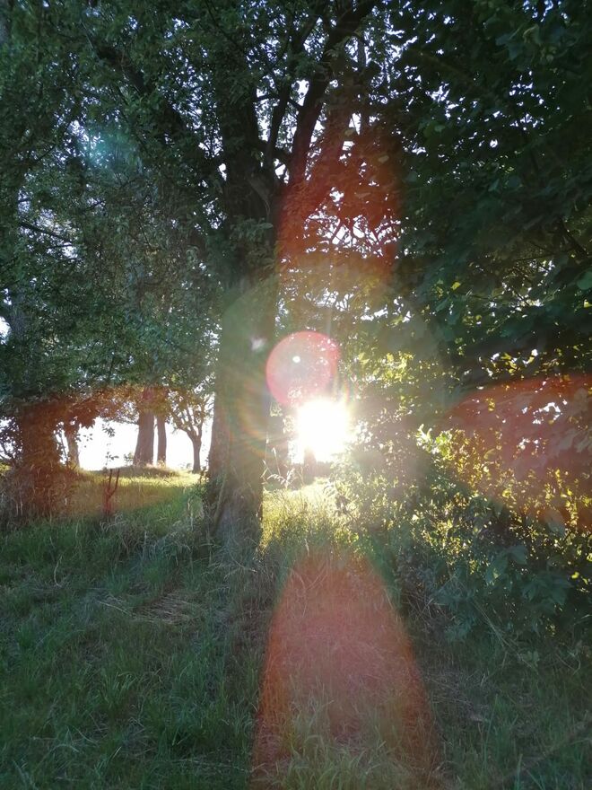 Sonnenaufgang