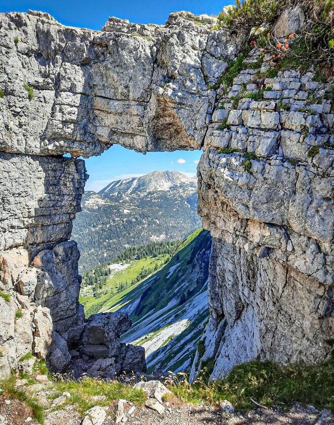 Loserfenster
