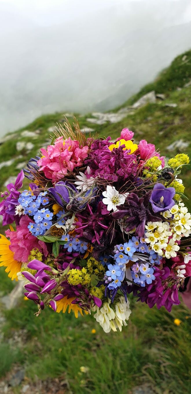 Ein herrlicher Blumenstrauß aus unseren Bergen