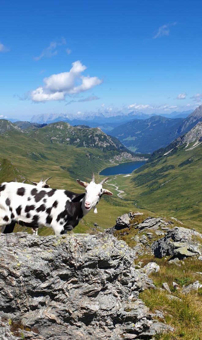 Sehr fotogen