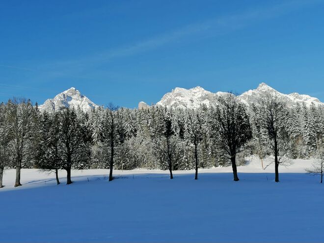 Der Schatten kriecht übers Feld