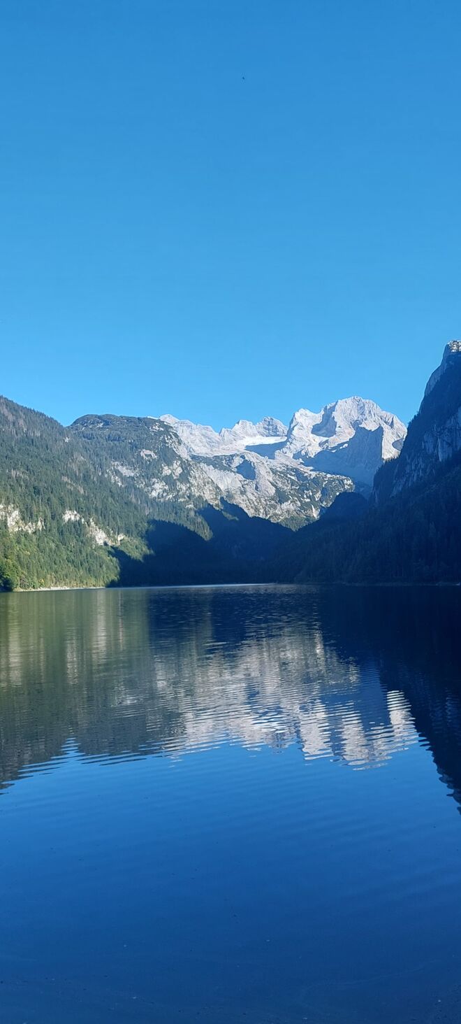 Dachsteinblick