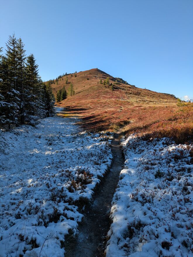 Herbst gegen Winter