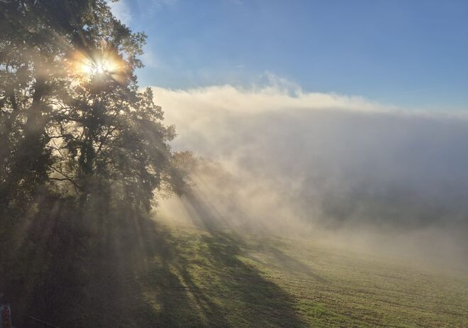 "und immer wieder geht die Sonne auf "