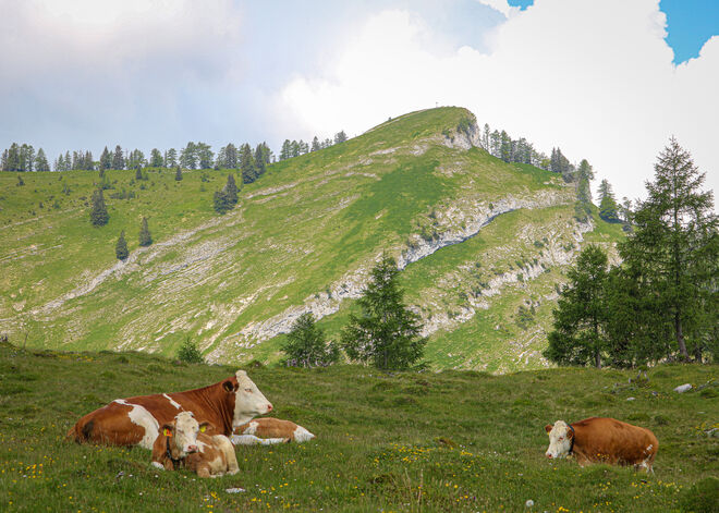 Sehr gemütlich...