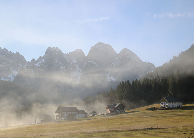 Frühnebel...