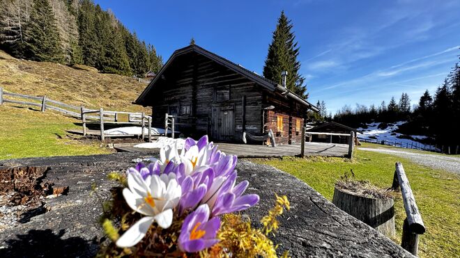 In der Natur die Seele baumeln lassen !