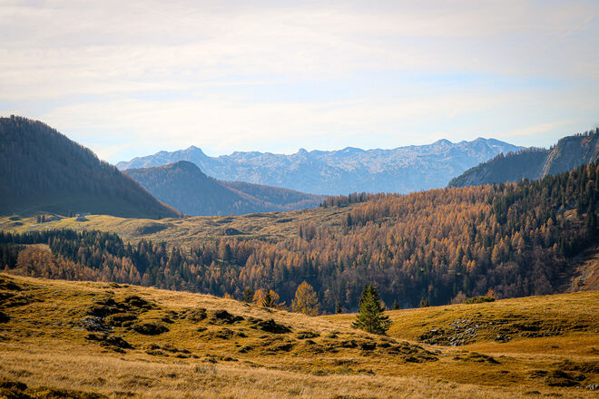 Die wunderbaren Farben des Herbst