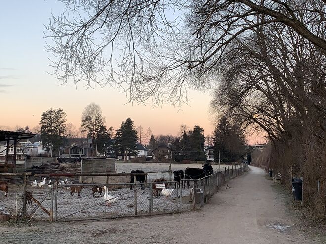 Friedliches Zusammenleben