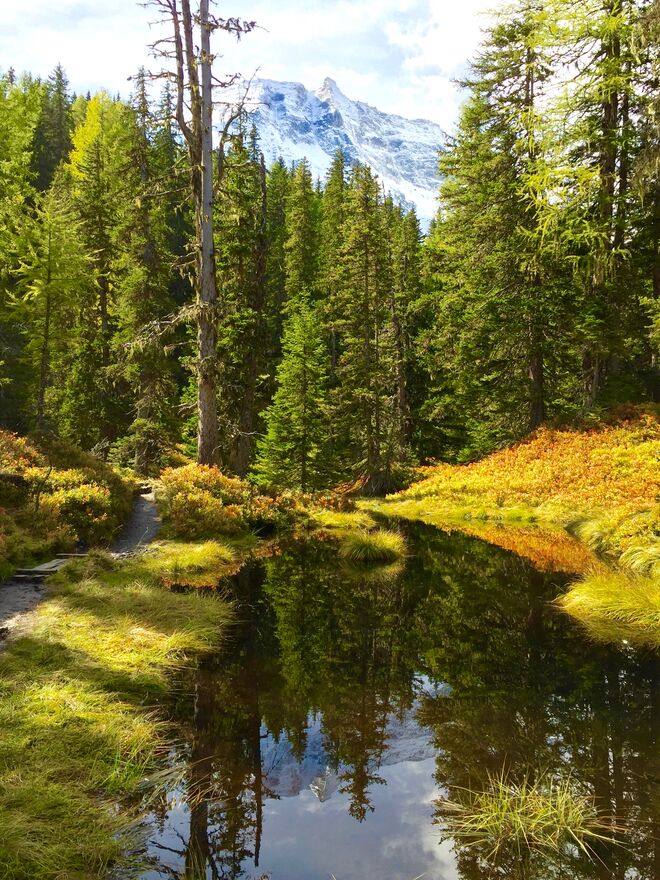 Moorlacke mit Blick auf den Sonnblick