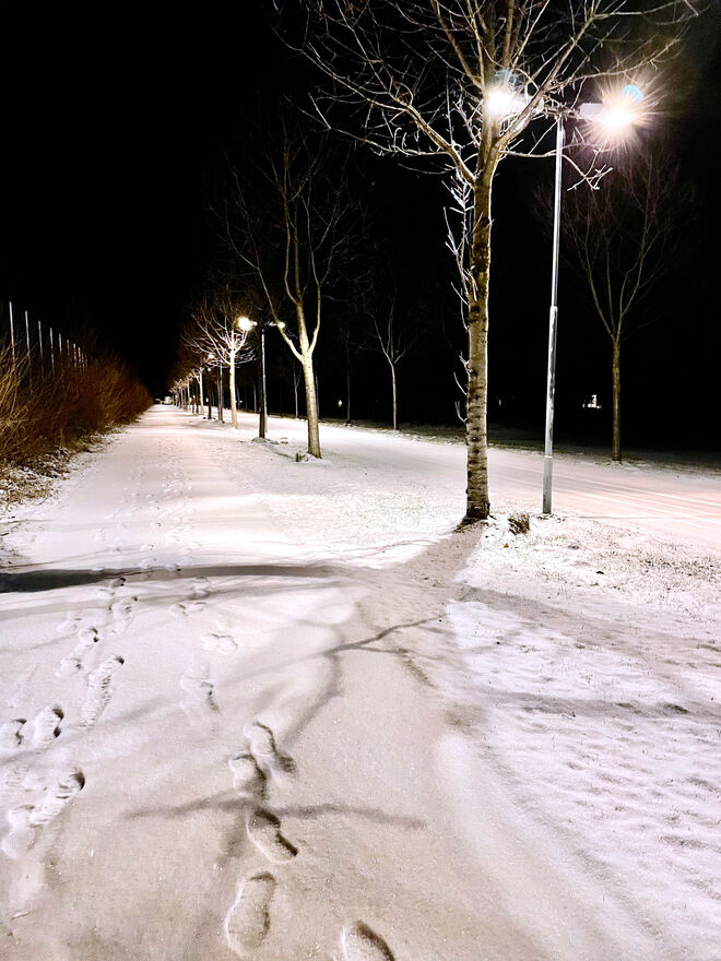 Spuren im Schnee