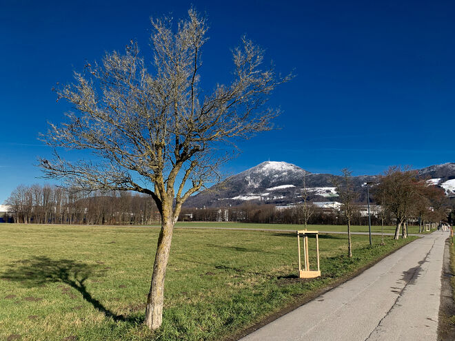 Schnee in höheren Lagen