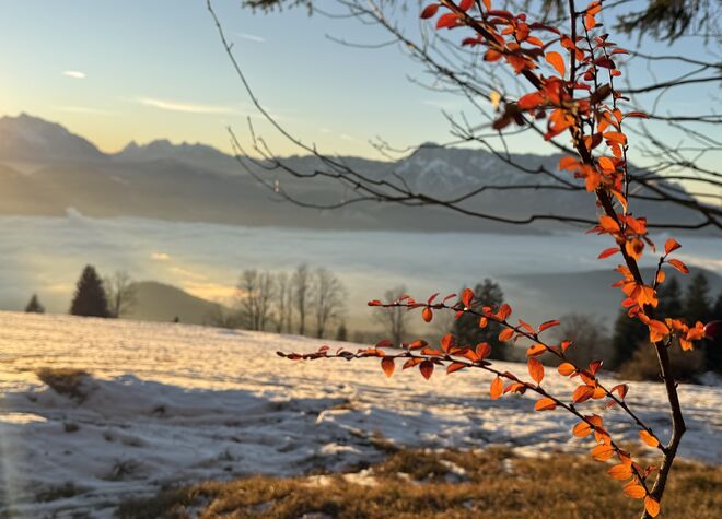 Dem Nebelkältemeer im Tal entkommen…