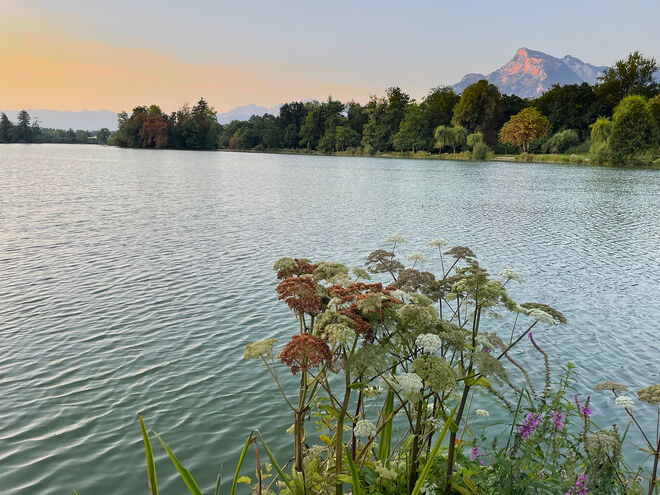 Weihermorgen