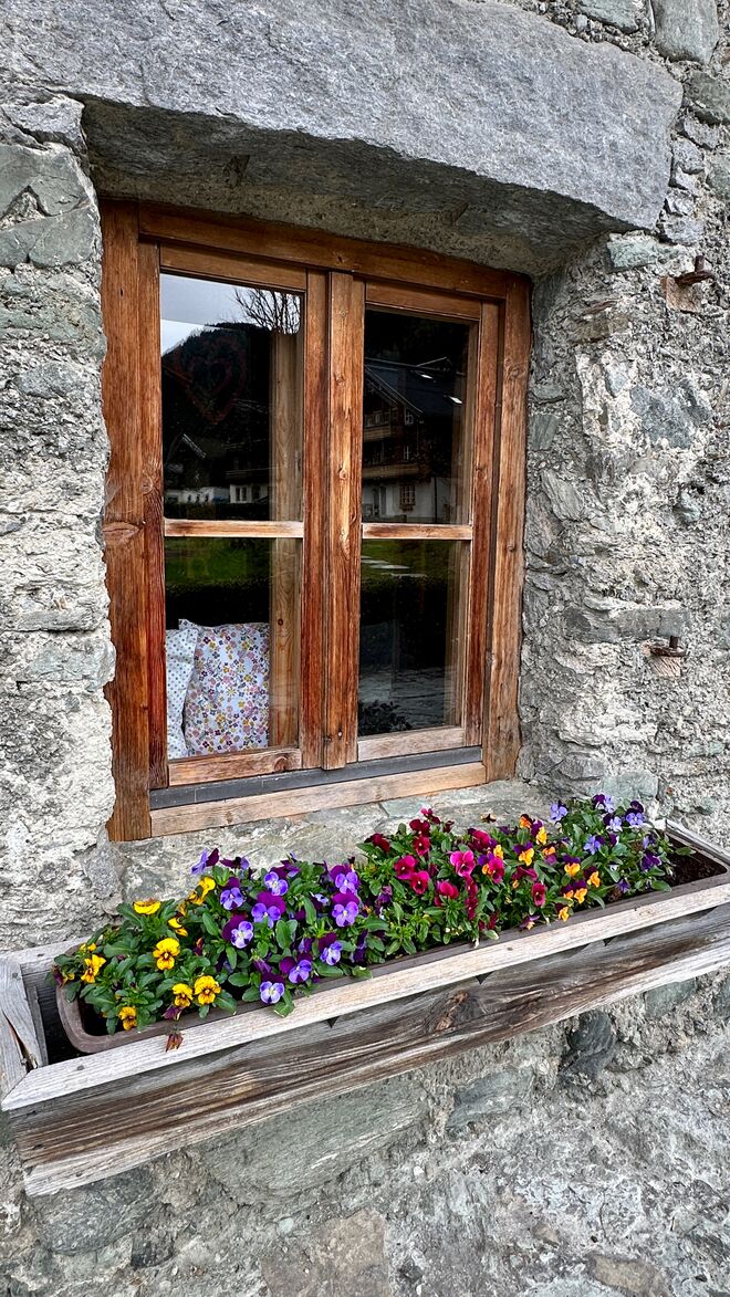 alte Mauern , frische Blumen