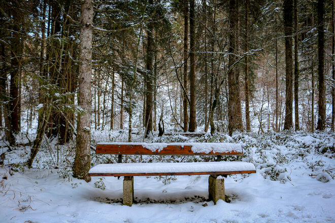 Erster Schnee...