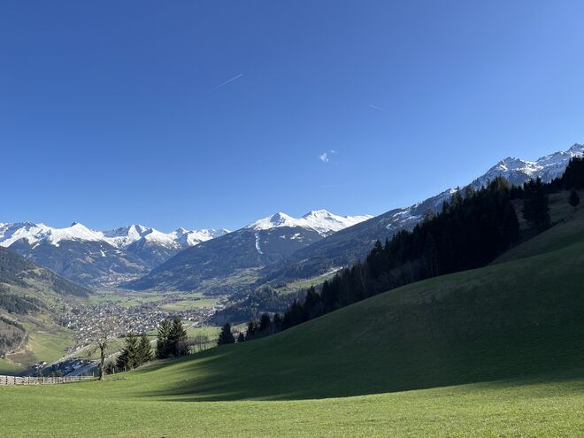 Grün wird‘s