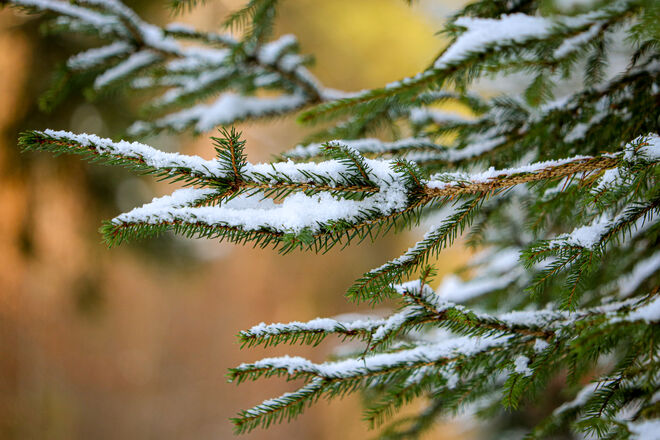 Wintersonne...