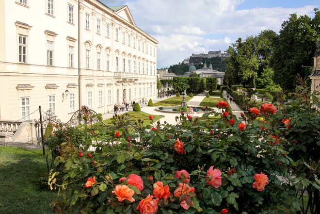 Vom Rosenhügel aus unsere schöne Altstadt mit der Festung fotografiert
