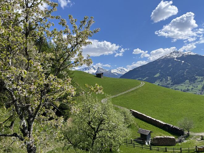 Der Frühling ist angekommen…..