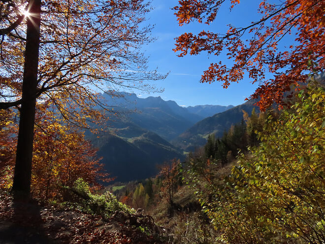 Herbstliche Ausblicke