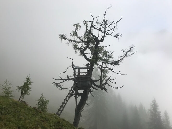 Hochstand in den Wolken