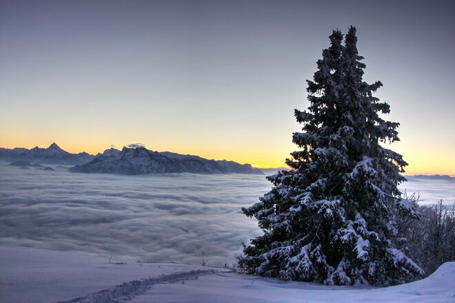 Sonnenuntergang mit Nebelmeer am Gaisberg