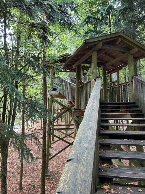 Baumkronenweg Kopfing