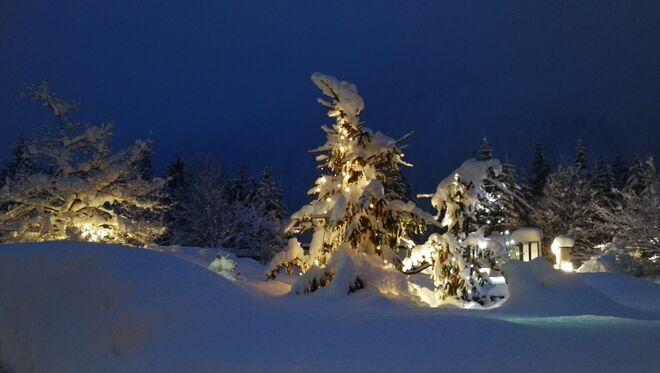 Morgenstund hat...