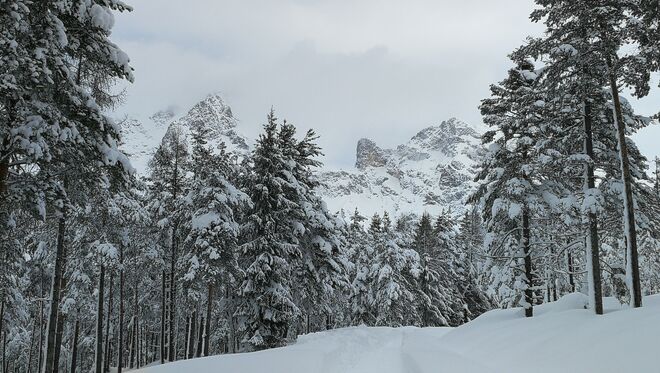 Nach dem großen Schnee