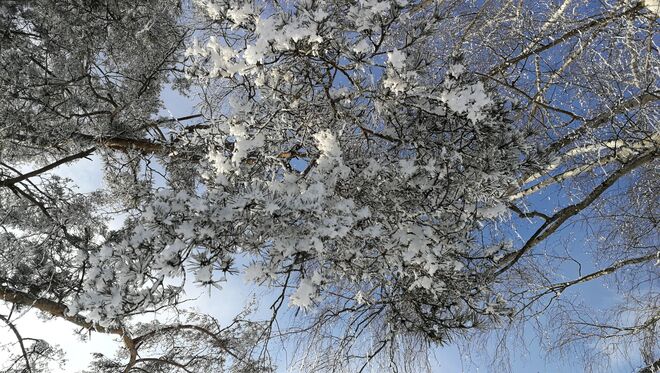 Schneekristalle, Nebel & blauer Himmel