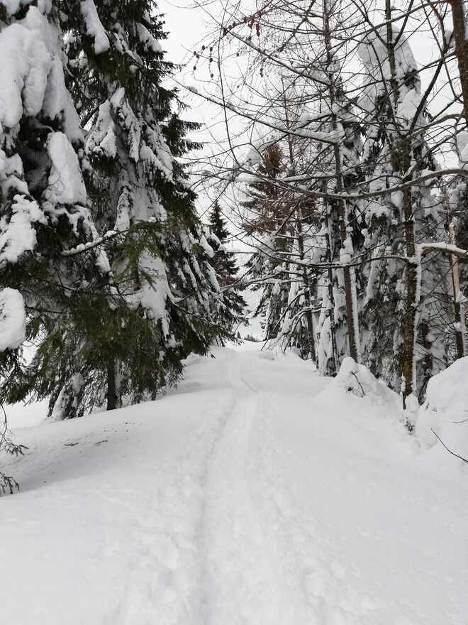 Spuren im Schnee