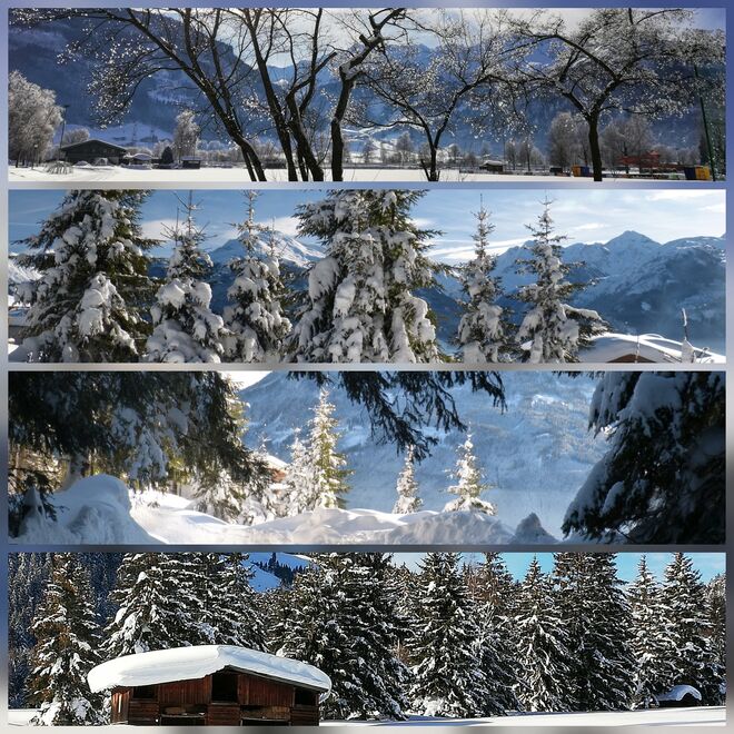 Pinzgauer WinterWonderLand