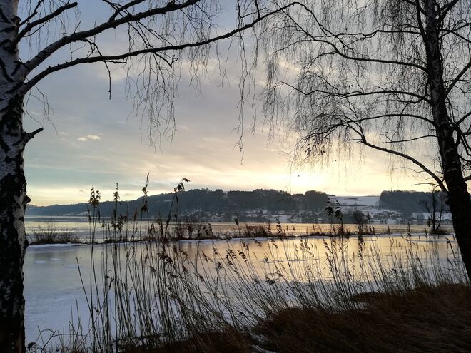 Guten Morgen 2.2.2019