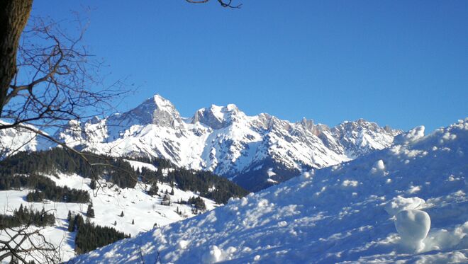Morgendlicher Wintertraum