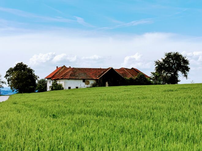 Stimmungsvolle Landschaft