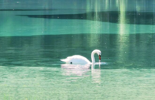 Farbenspiel am Jägersee
