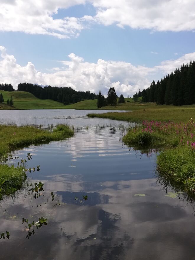 Seewaldsee