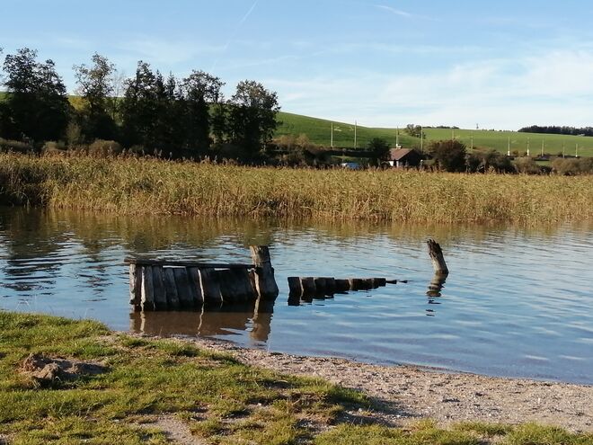 Auch am Wallersee ist es Herbst