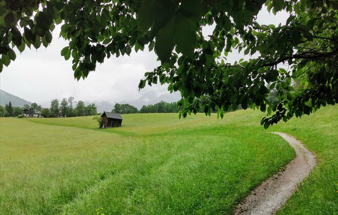 rainy day