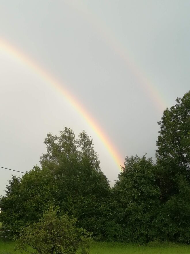 Regenbogen
