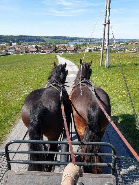 Ausfahrt