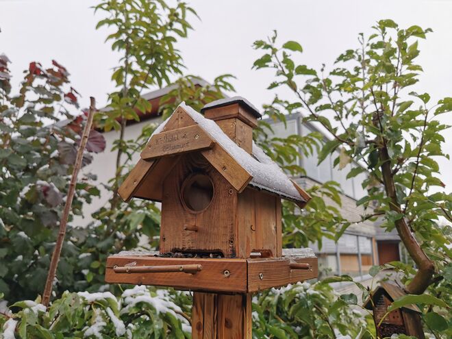 Schnee