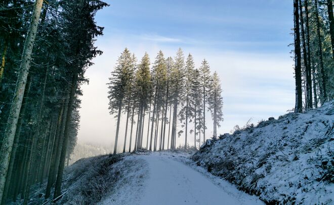 Herrliche Wanderung