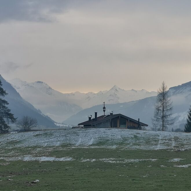 Bsuch- Kitz