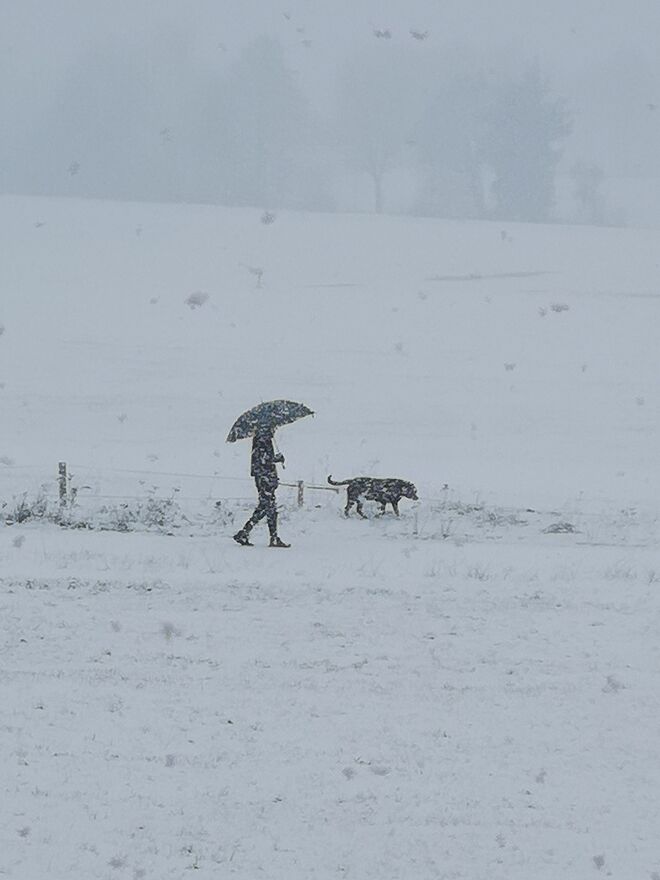Mann mit Hund beim Gassiwalk