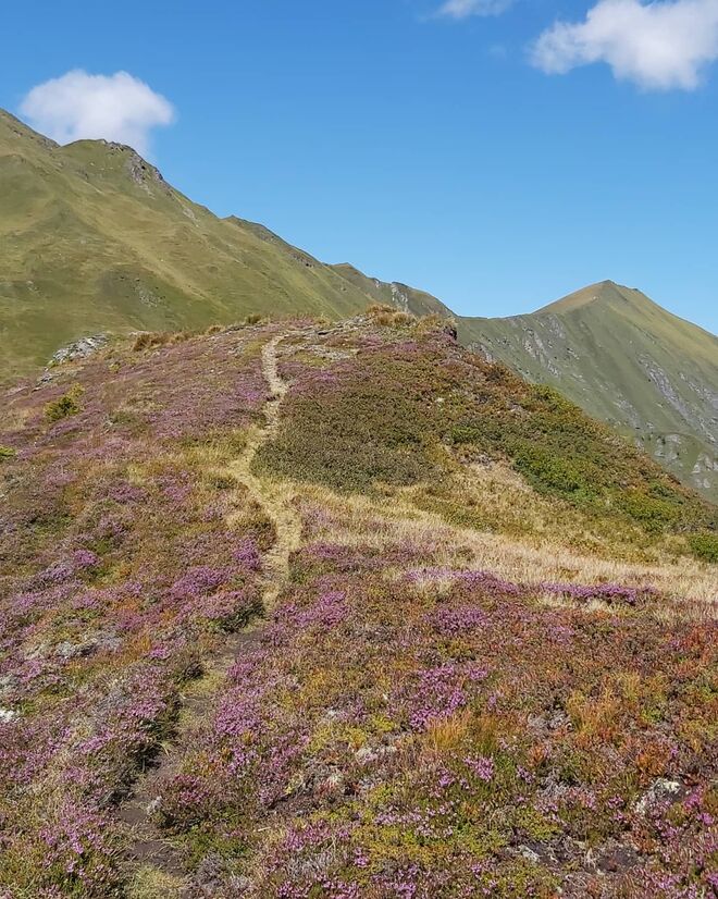 Schottische Highlands im Pongau