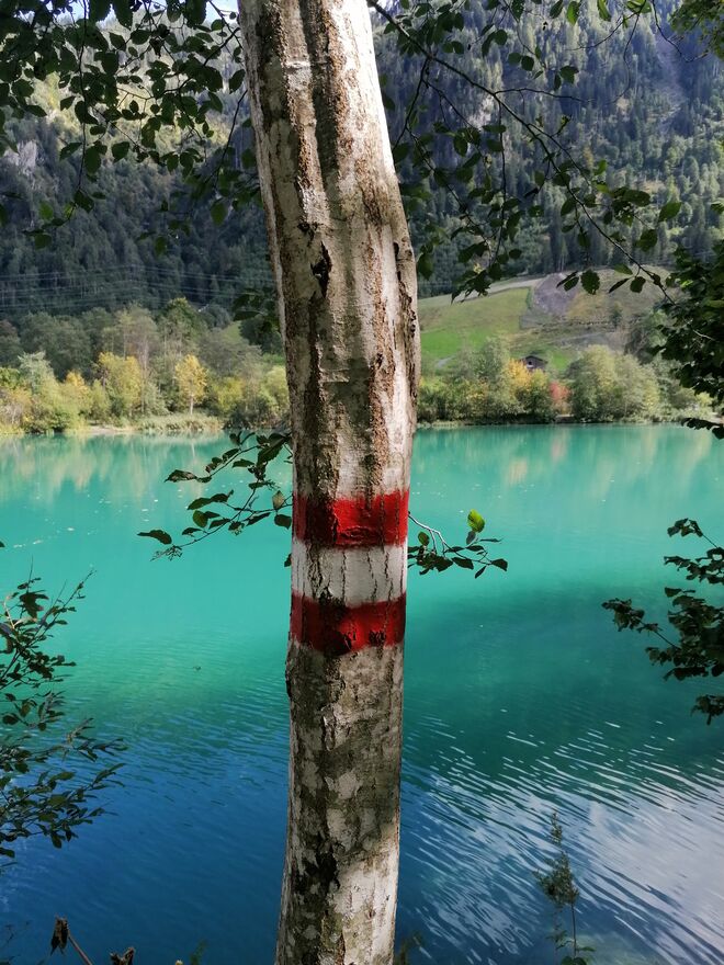 Heimat