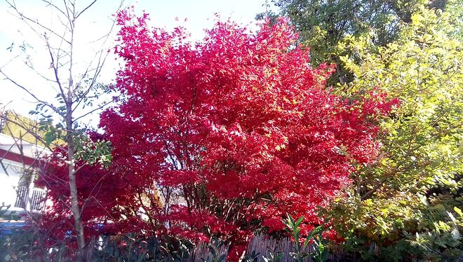 winter-herbst-sommer